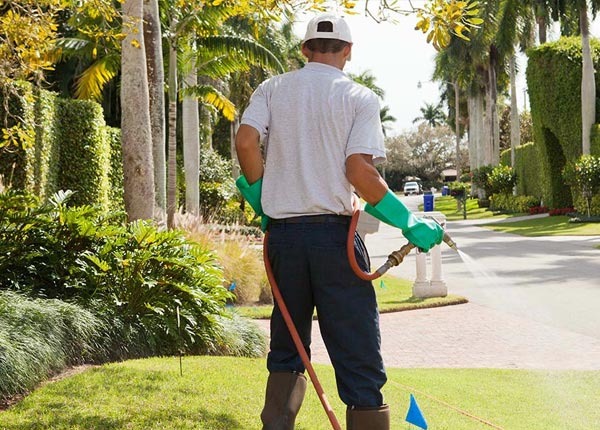 About Antelope OR Pest Control Pros